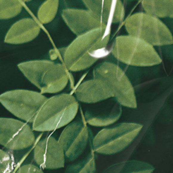 ECOMATE®Plus