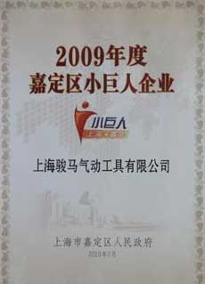 嘉定区小巨人企业